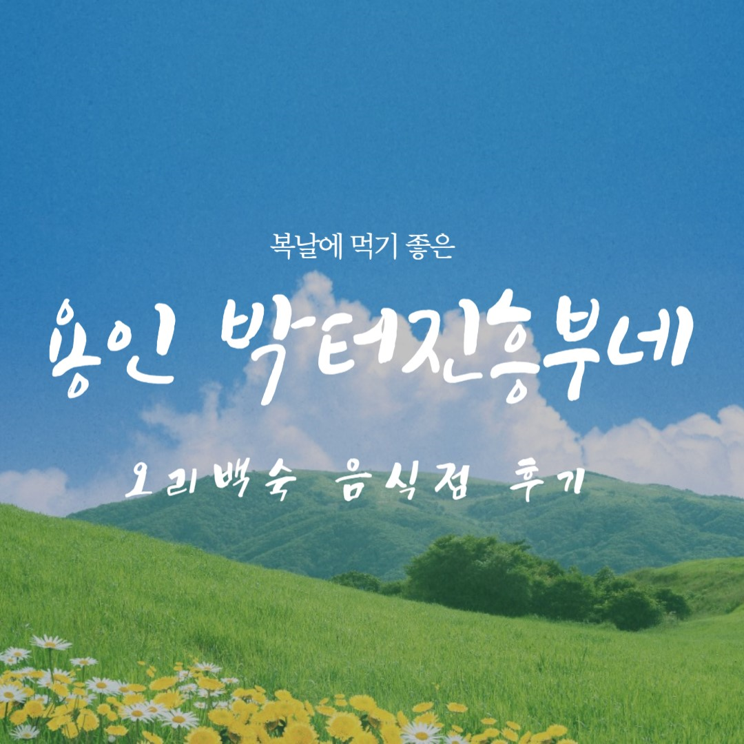  용인/영통 오리백숙_박터진흥부네 오리백숙 후기