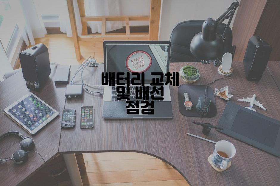 배터리 교체 및 배선 점검
