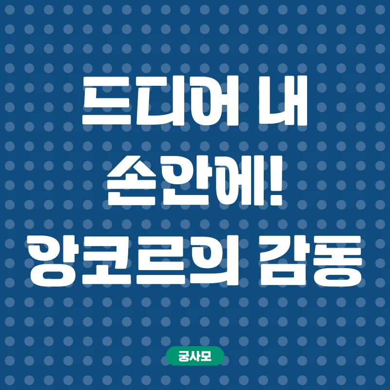아이나나 메탈 카드 앙코르_1