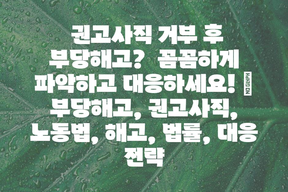 샘플 (44)