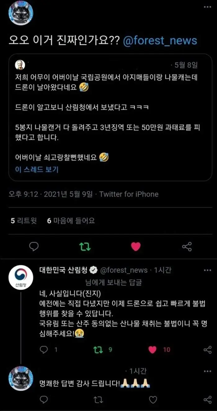 어버이날 국립공원에서 나물캐다 산림청 드론을 맞닥뜨린 한 아주머니