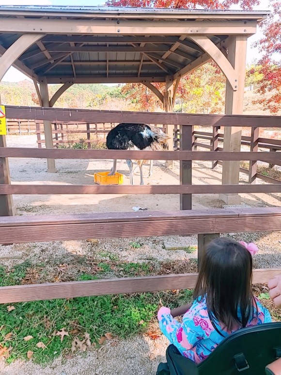 #부산 아이와가 볼만한 바다 운대수목원 18