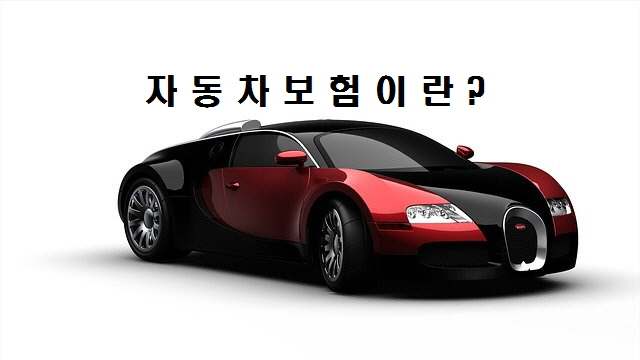  노다지네 잡학다식