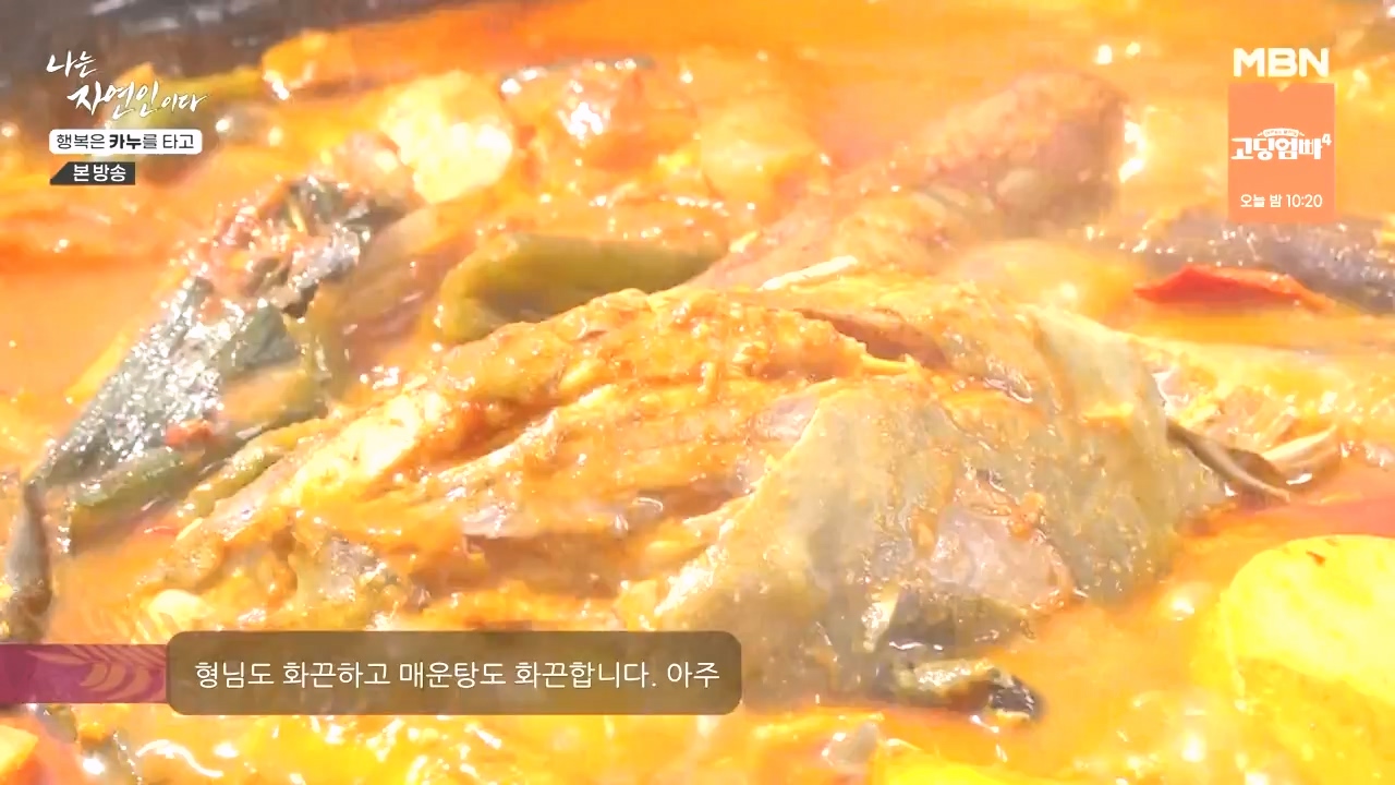 나는 자연인이다.E576.231019p-NEXT.mp4_20231019_201414.613.jpg