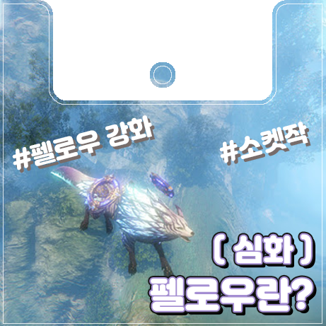  [이카루스] 펠로우란? (심화)