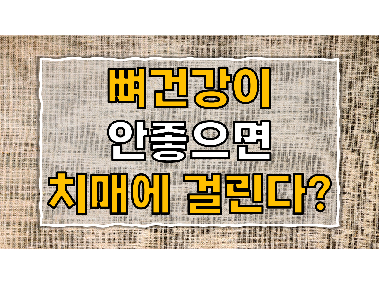  뼈 건강이 치매와도 연관 있다? 골밀도 감소가 부르는 치매