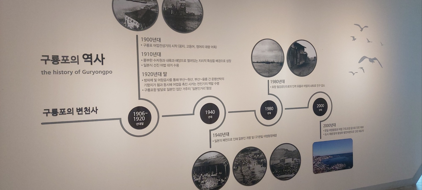 포항에 구룡포에있는~ 과메기 6