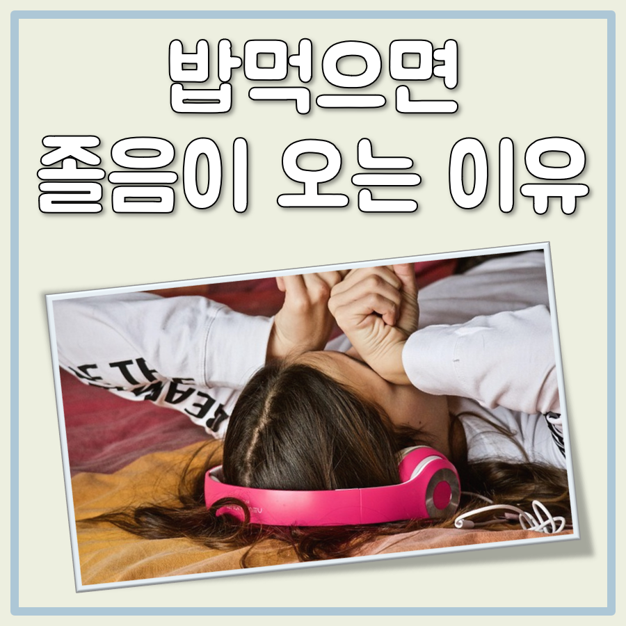 밥먹으면 졸음이 오는 이유 대표 이미지