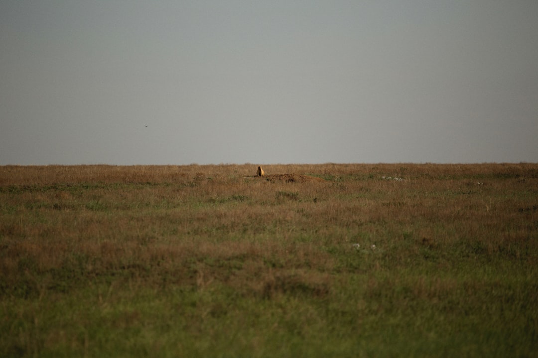 Landowner