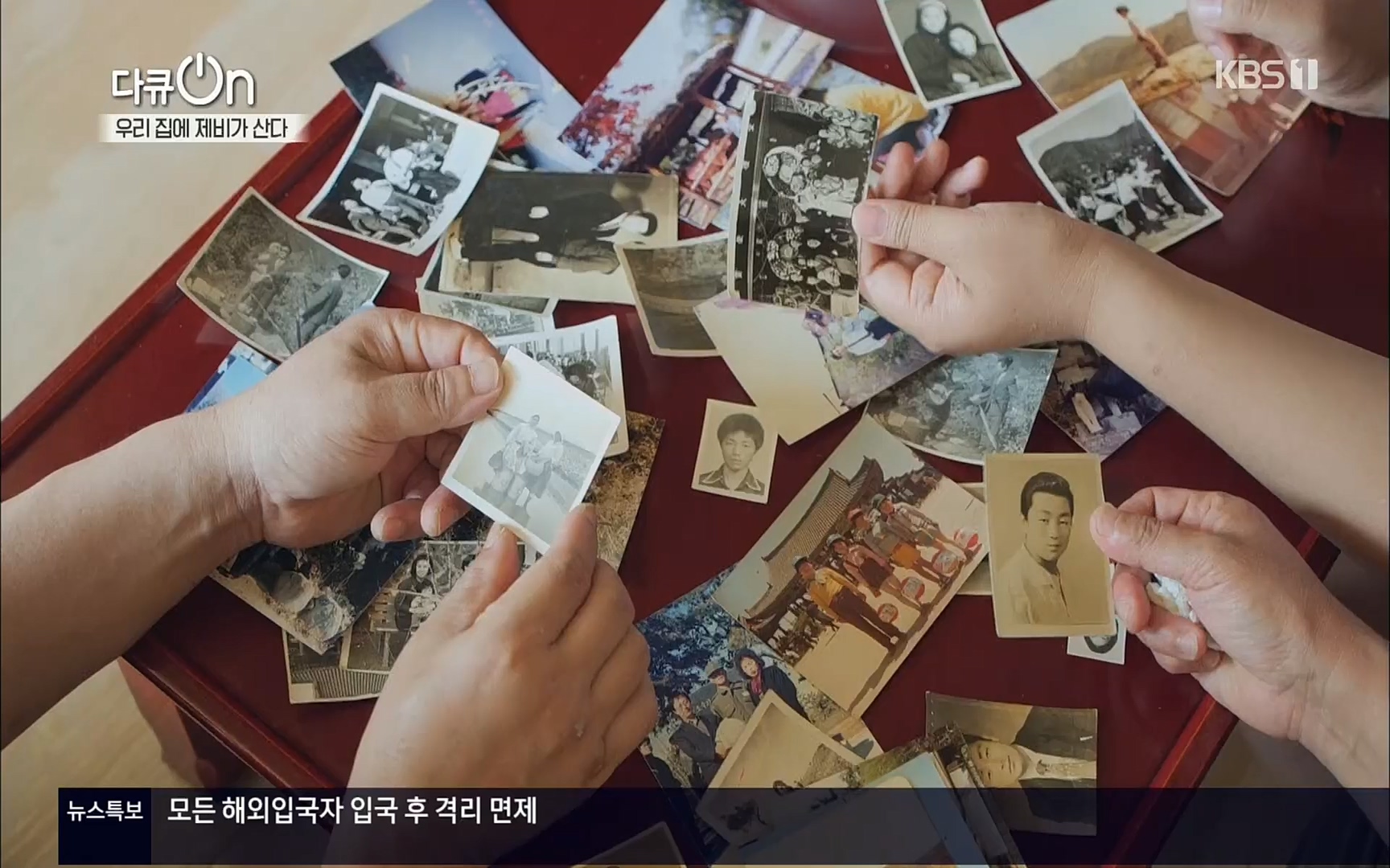 다큐 On.E143.220610p.H264-F1RST.mp4_20220613_202642.854.jpg