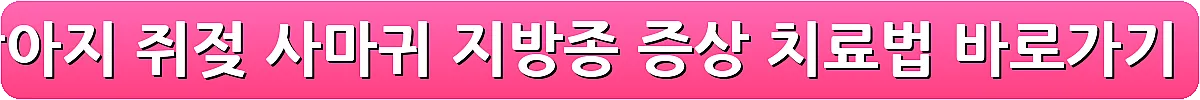 강아지 쥐젖 사마귀 지방종 증상 치료법_20