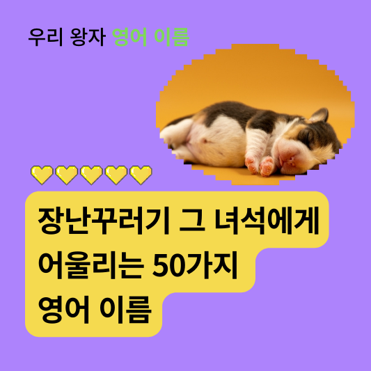 남자 강아지 영어 이름 추천 50가지