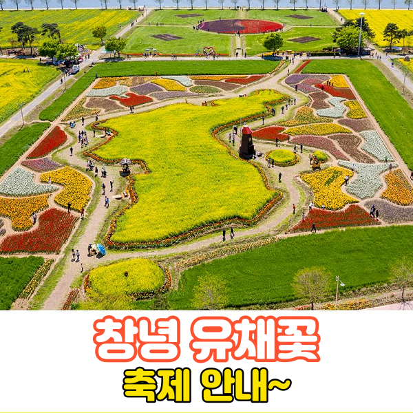 창녕 유채꽃축제-낙동강 유채축제-행사안내