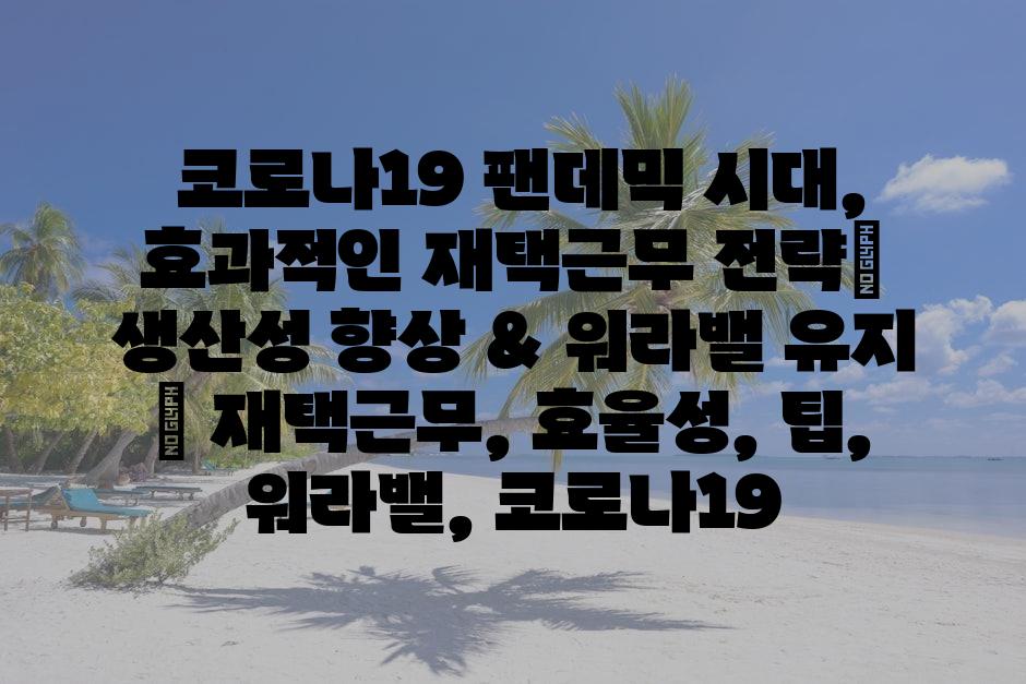 샘플 (79)