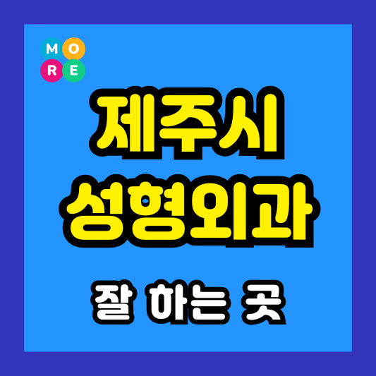 제주시 성형외과 잘 하고 유명한 곳 추천 BEST 3 코끝연골묶기, 눈밑지방재배치, 안와상융기