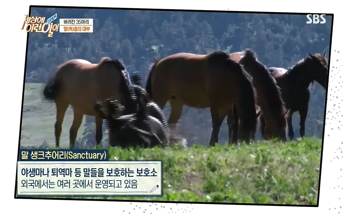 순간포착 세상에 이런일이.E1198.220920.H265p-BULDU.mp4_20220921_201049.037.jpg