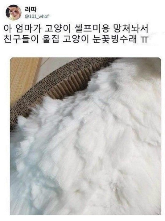  냥꽃빙수