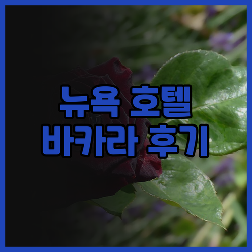 바카라 호텔 뉴욕, 럭셔리 후기와 완