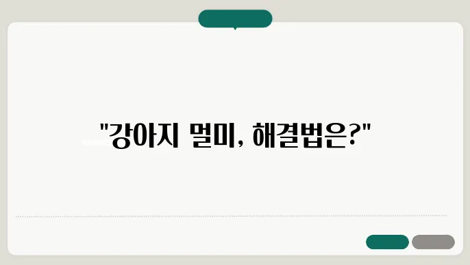 강아지의 편안한 이동을 위한 방법들
