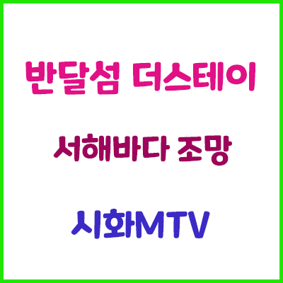  안산 시화호 반달섬이냐 거북섬이냐 어디로 가야하나