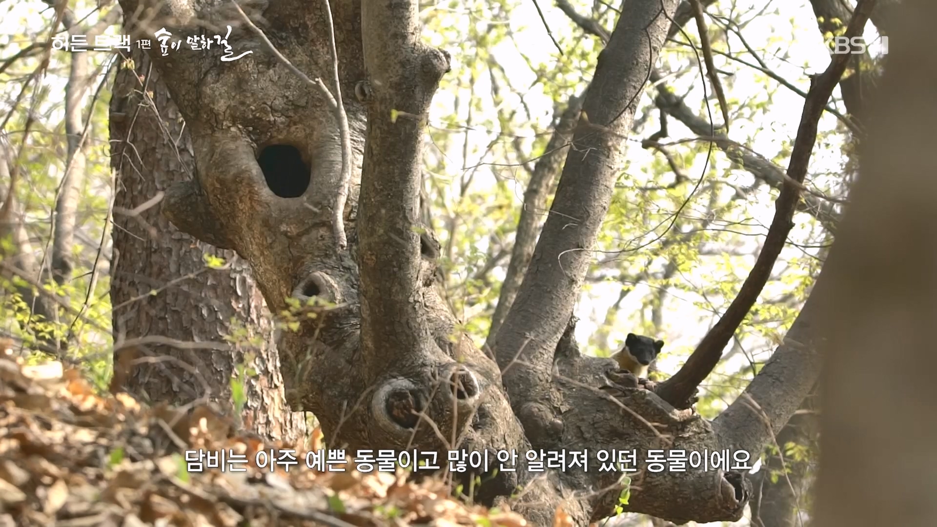 다큐 인사이트.E176.231214p.H264-F1RST.mp4_20231215_203519.296.jpg