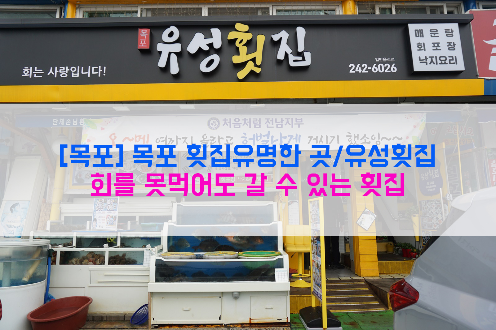  [목포] 목포 횟집유명한 곳/유성횟집…회를 못먹어도 갈 수 있는 횟집
