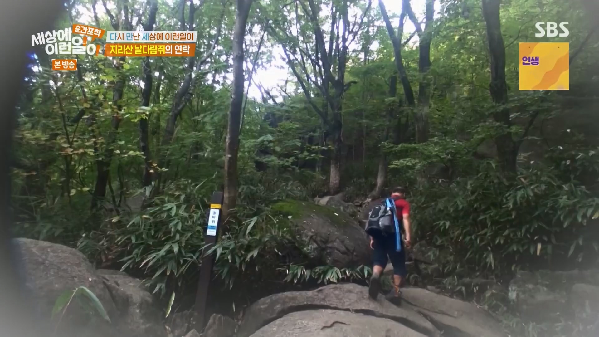 순간포착 세상에 이런일이.E1264.240210p.H264-F1RST.mp4_20240211_190715.696.jpg