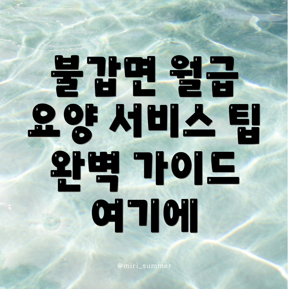 영광군 요양보호사 월급