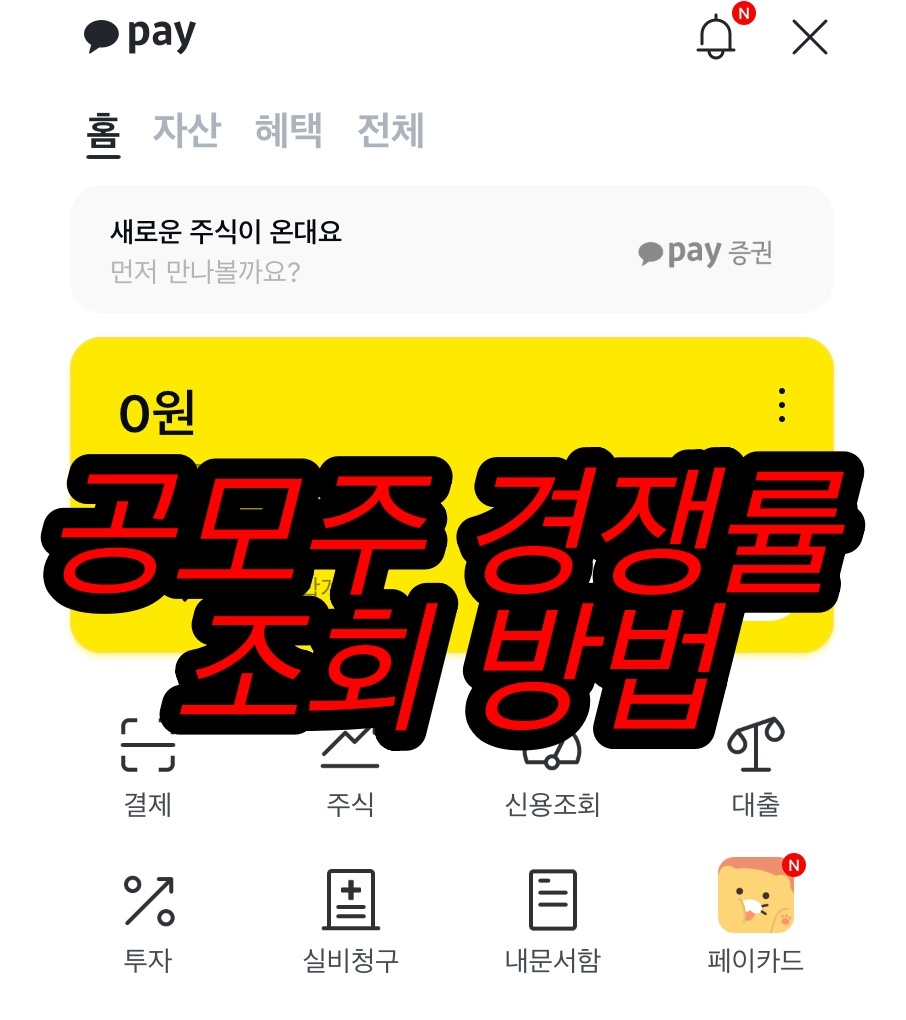  공모주 경쟁률 보는 법. 카카오톡 공모주 알리미 확인 조회
