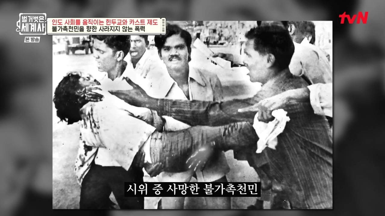 벌거벗은 세계사.E115.230906p-NEXT.mp4_20240406_175840.291.jpg