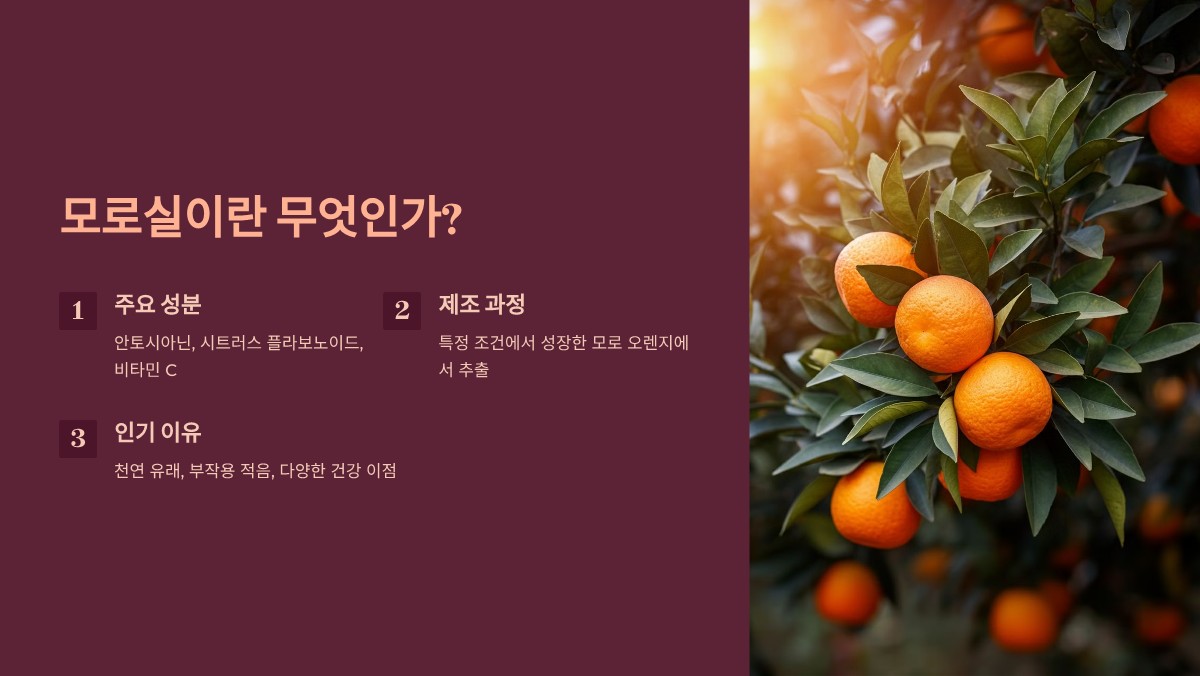 모로실 효능