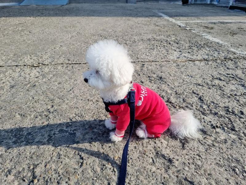 디스커버리대전은행 이미지