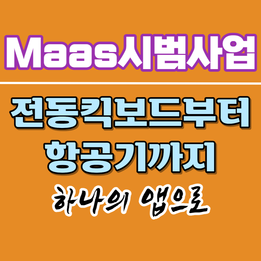  다양한 교통수단 서비스를 하나의 앱으로 이용-MaaS시범사업 내용