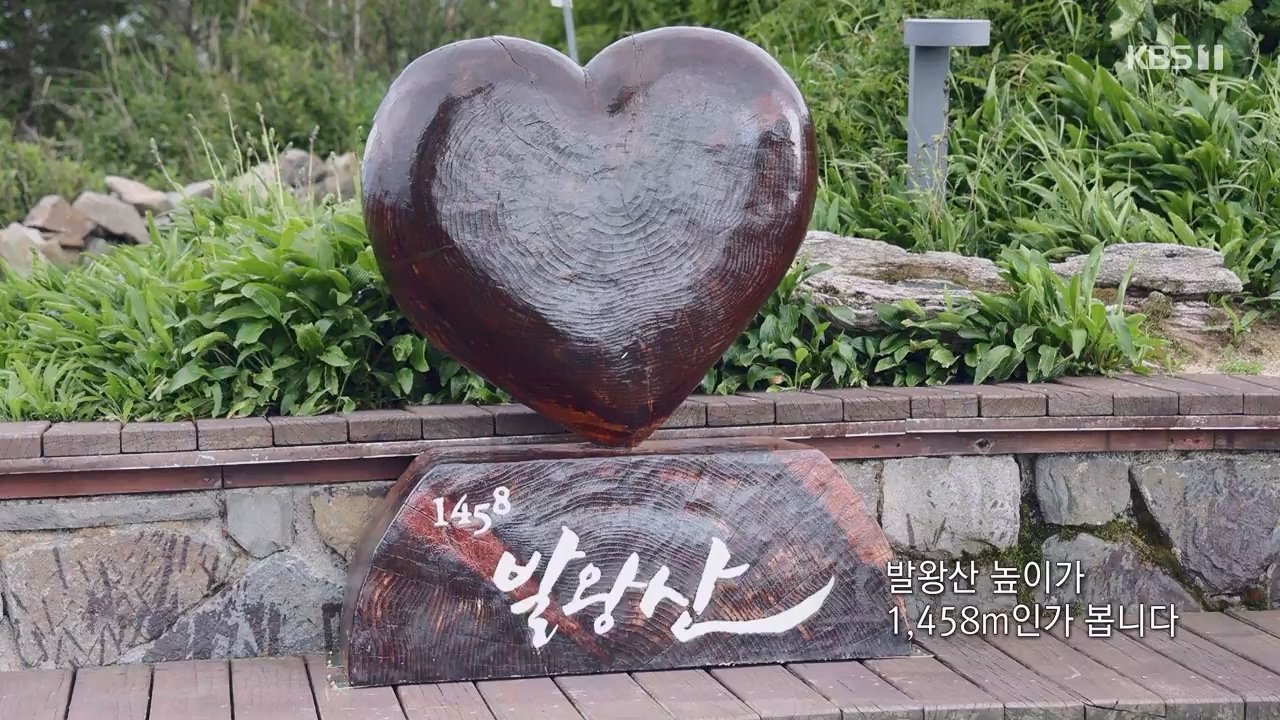동네 한 바퀴.E234.230806p-NEXT.mp4_20230810_211358.086.jpg