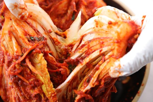 김치 사진