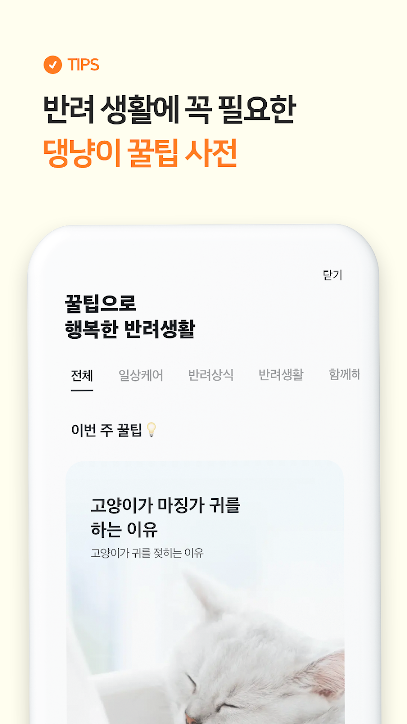 티티케어 꿀팁사전