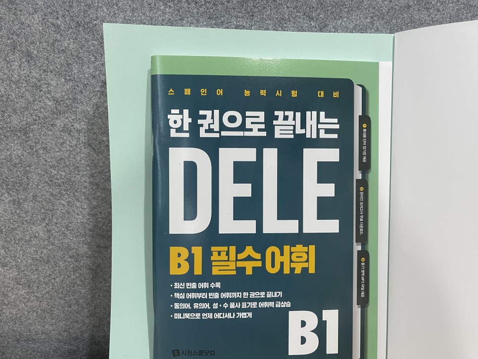 왕초보 탈출! 스페인어공부 단시간에 4