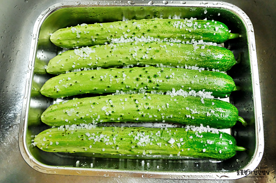 오이 김치 담그는 법 아삭아삭한 부추 오이 김치 담그는 법 2