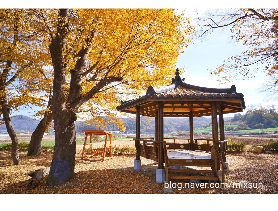 단풍구경 가볼만한 곳 괴산 가볼만한곳 10