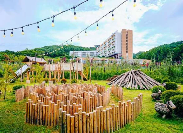 소노벨 청송