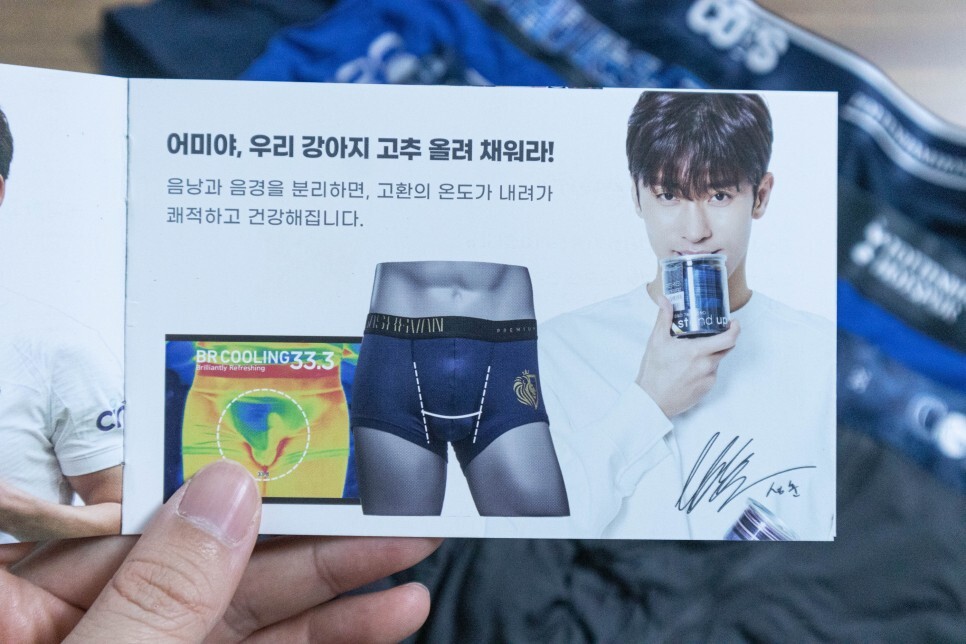 팬티