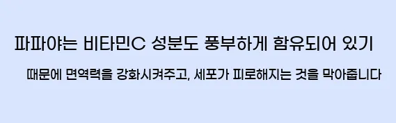  파파야는 비타민C 성분도 풍부하게 함유되어 있기 때문에 면역력을 강화시켜주고, 세포가 피로해지는 것을 막아줍니다