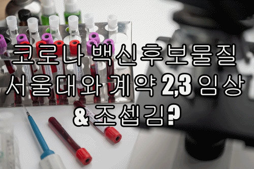  코로나 백신후보물질 서울대와 계약 2,3 임상 & 조셉김?