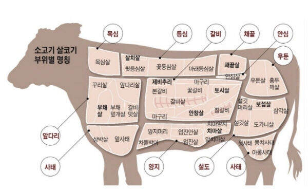  소고기 국거리 부위 종류 앞다리 설도 양지 사태 갈비 특징