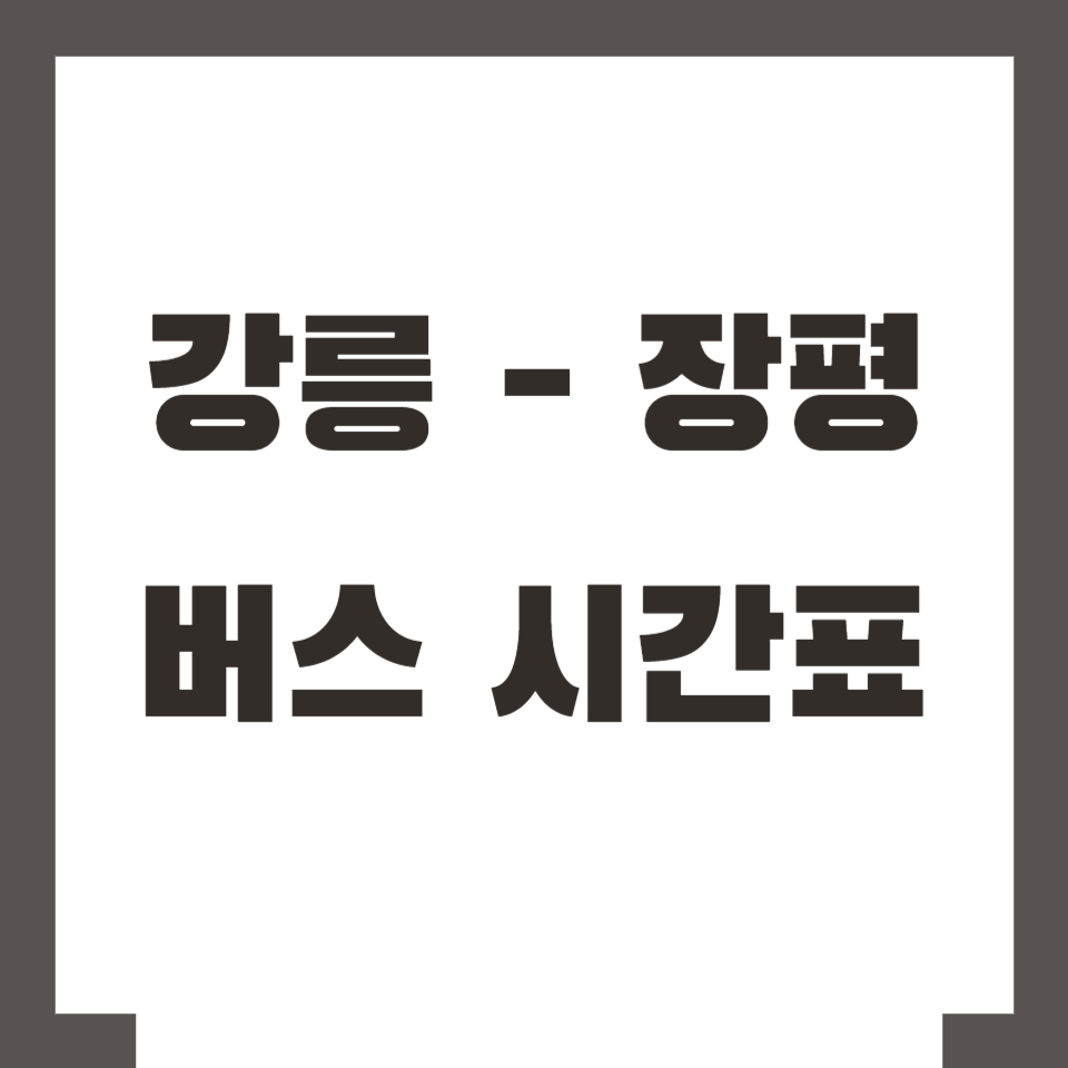 강릉 장평 버스 시간표