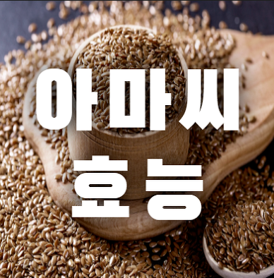  아마씨의 효능과 건강에 미치는 영향