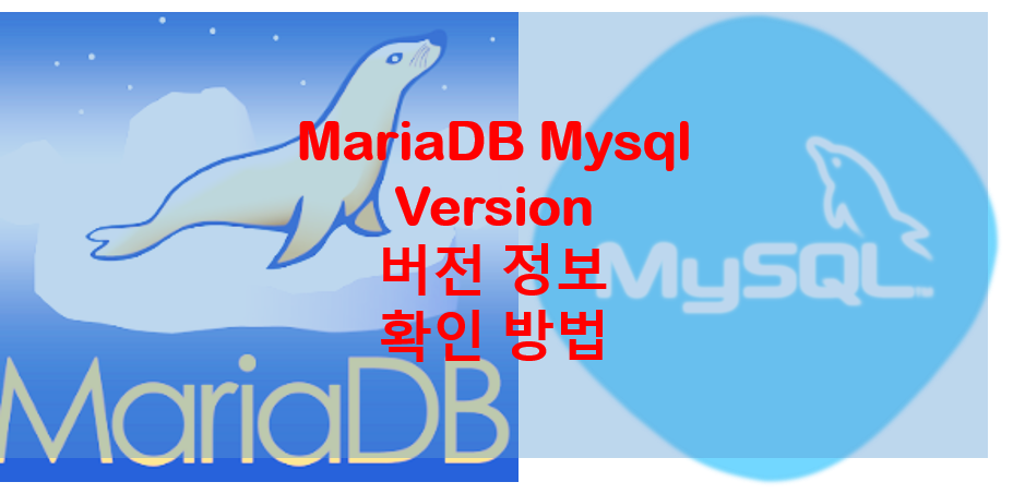  Ubuntu mysql mariadb 설치 버전 확인 방법