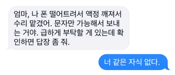  '엄마, 나 폰 고장났어, 신분증 좀'...장모님이 당할 뻔했다