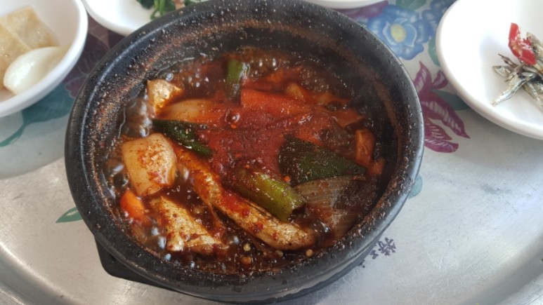 제주도 자동차 가져가기 제주 한달살기 출발일 = 완도항 출발 12