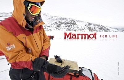 마모트 (Marmot)
